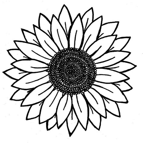 Printable Stencil Sunflower Outline